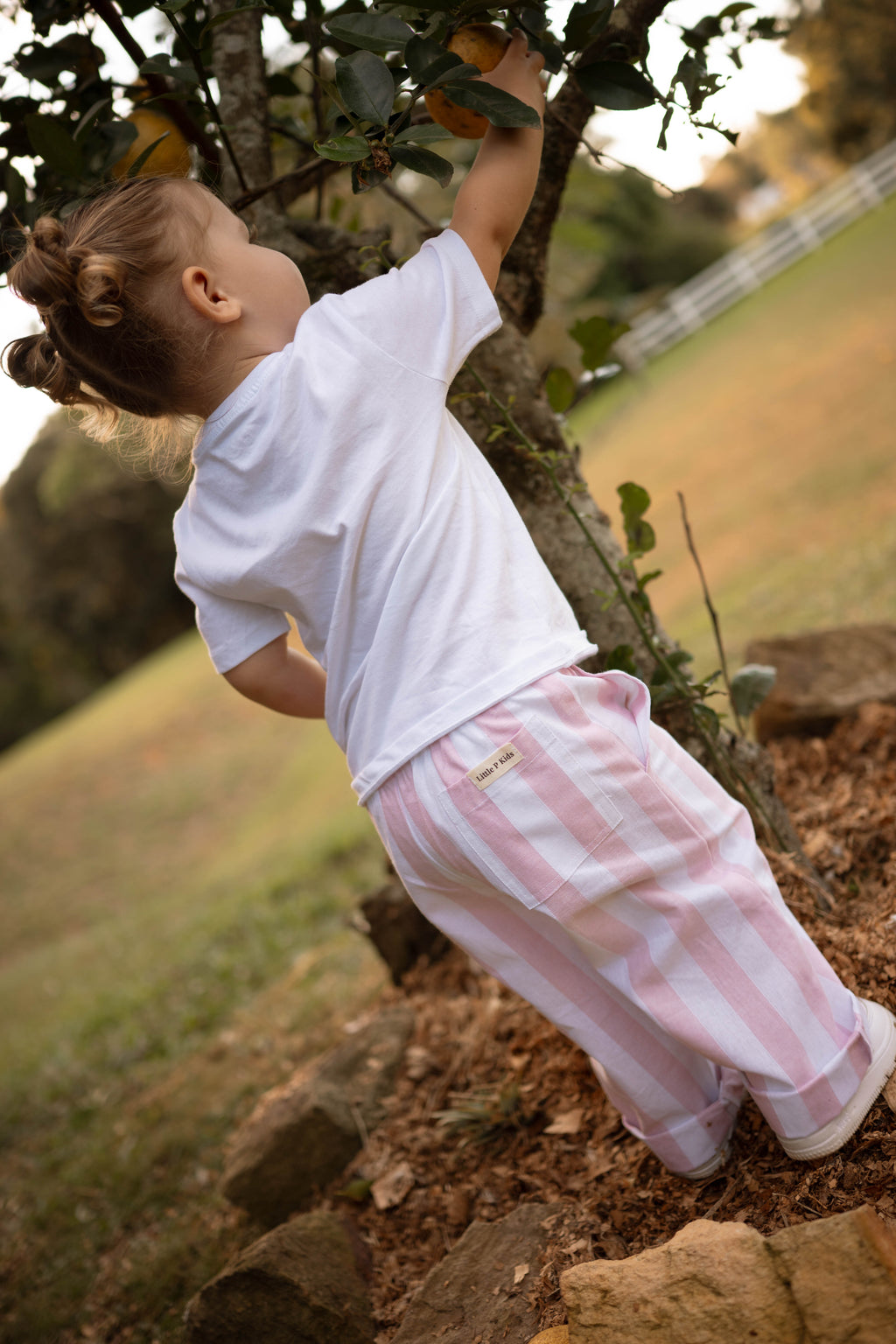 Pink Stripe Seaside Pant