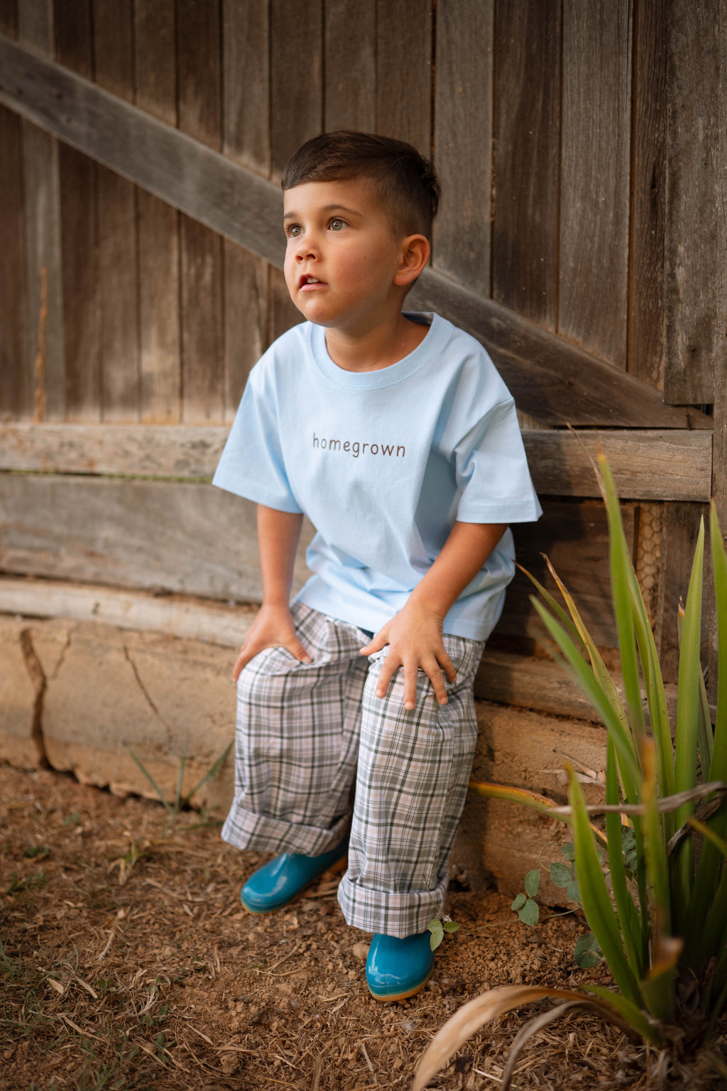 Sage Check Seaside Pants