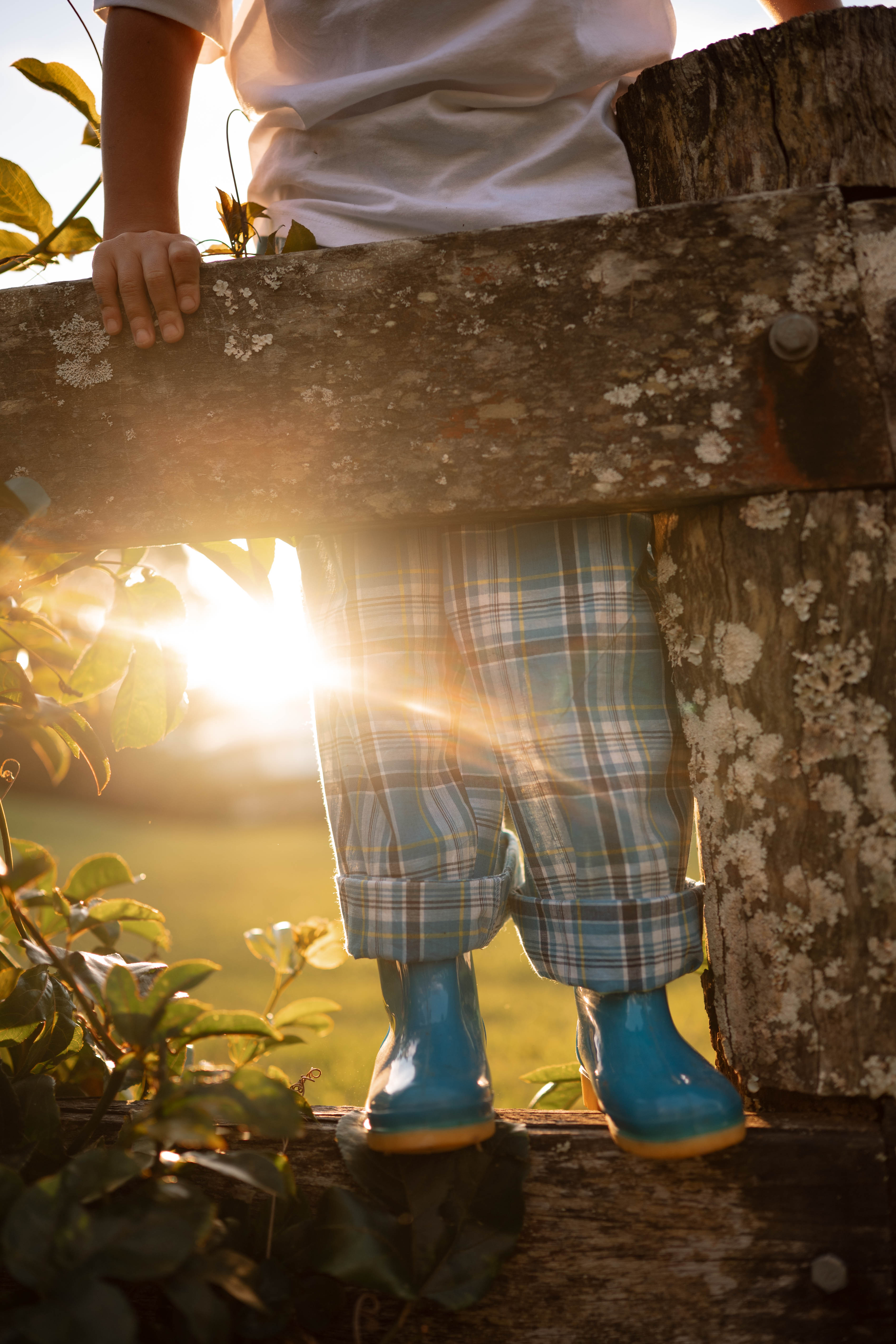 Blue Check Seaside Pants